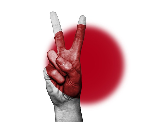 일본 flag