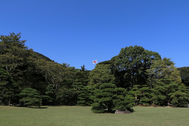 view